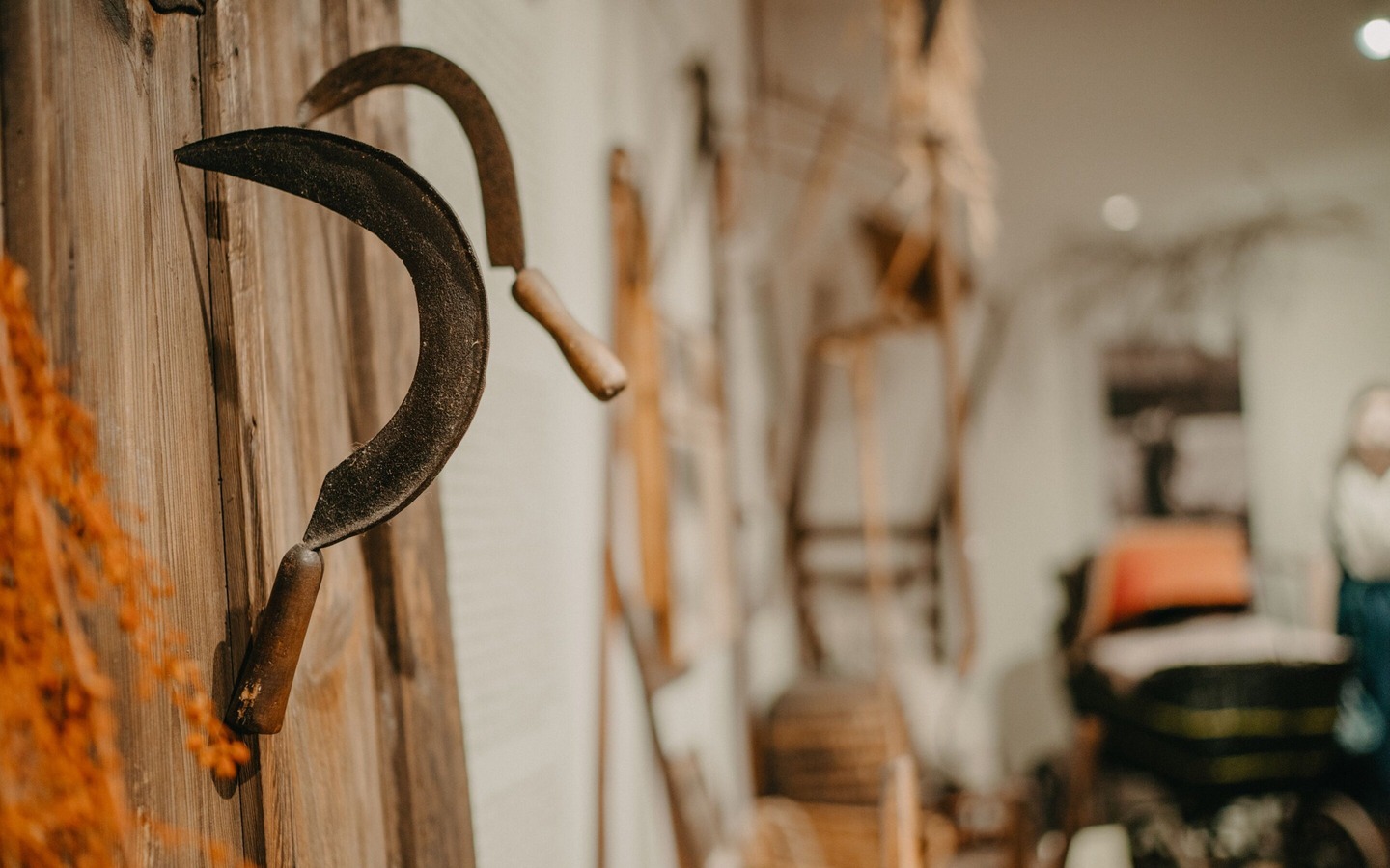 Heimatmuseum Dissen, Foto: Lena Tschuikow, Lizenz: www.spreewald.de