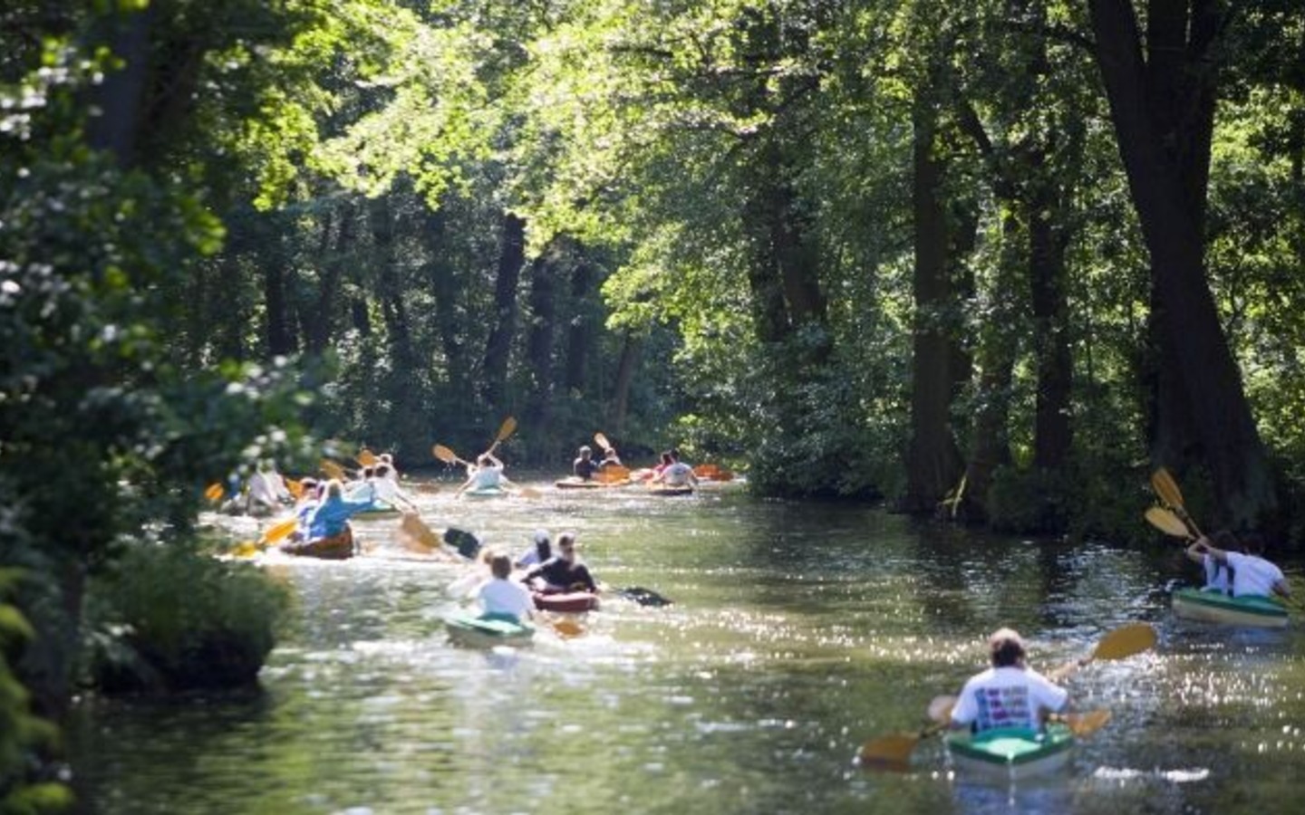 Wasserlabyrinth Spreewald, Foto: TMB-Fotoarchiv/Hahn