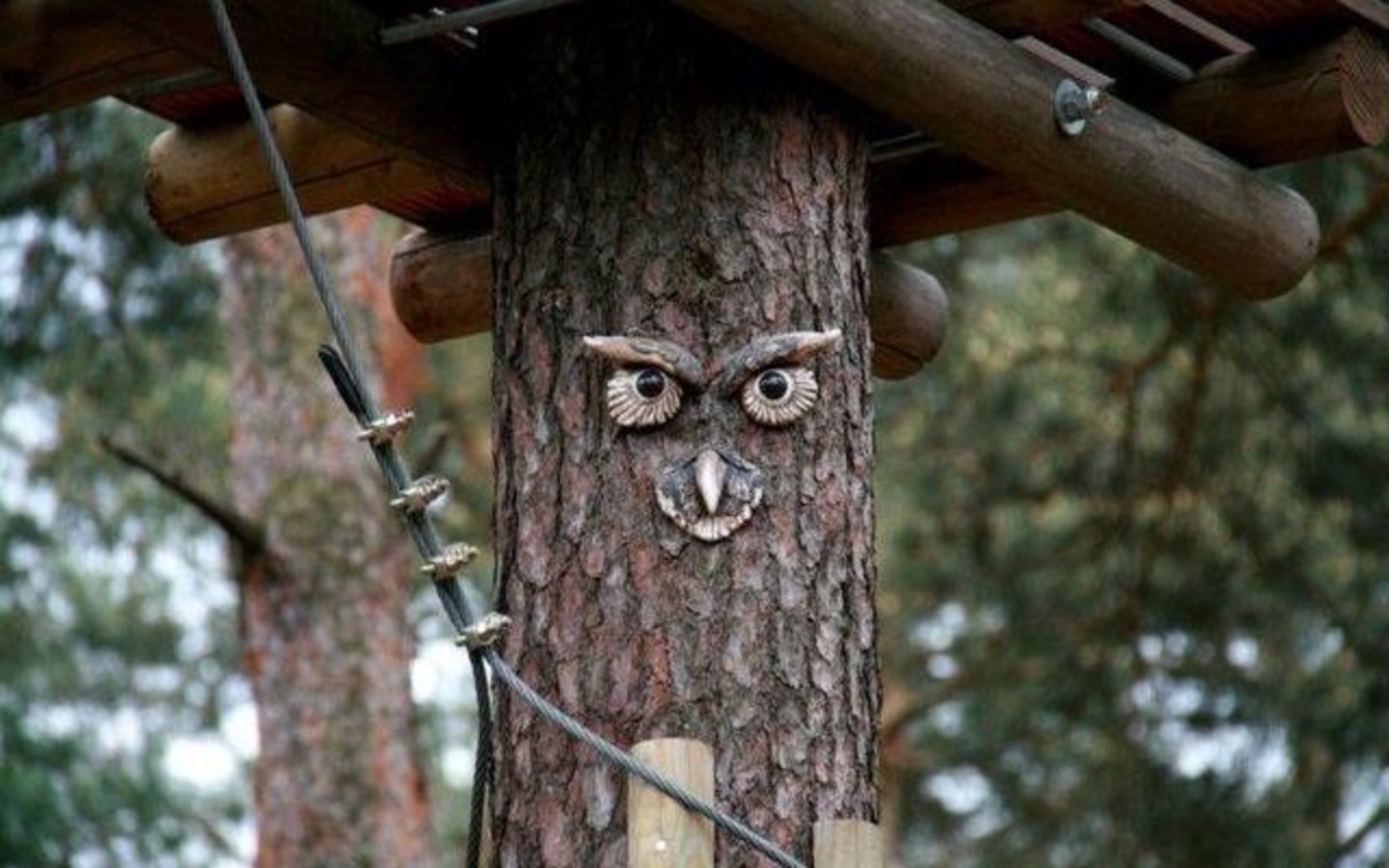 Kletterwald L&uuml;bben - Der Abenteuerpark im Spreewald