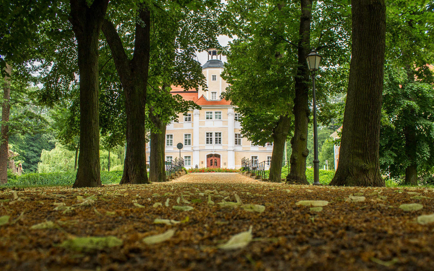 Auf der Lindenallee zum Schloss, Foto: Markus Graf