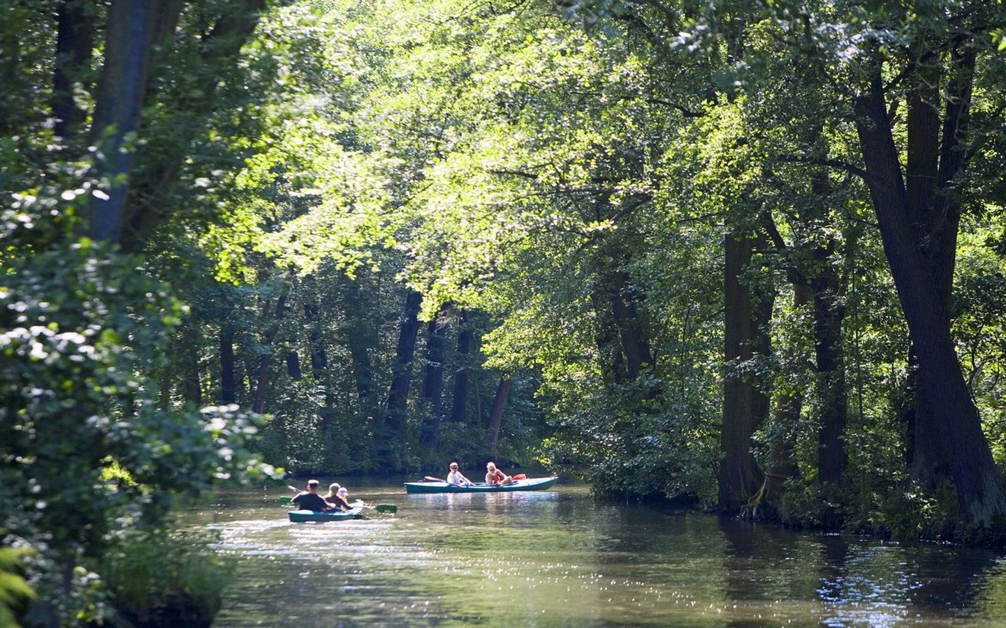 Kanutour im Spreewald, Foto: TMB-Fotoarchiv/Paul Hahn